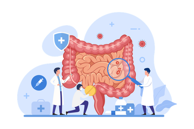 Tratamiento del intestino y sistema digestivo  Ilustración