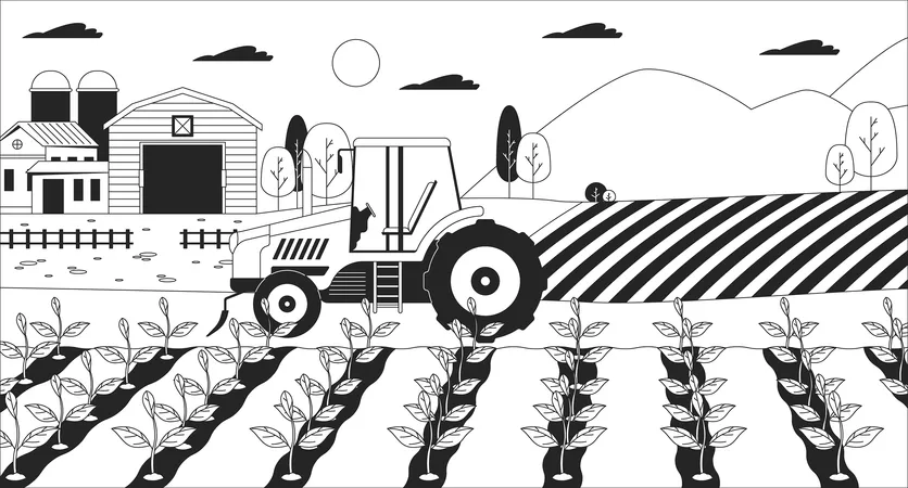 Trator no campo agrícola  Ilustração