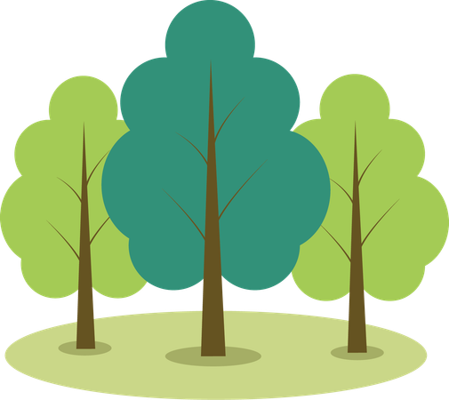 Tree  Illustration