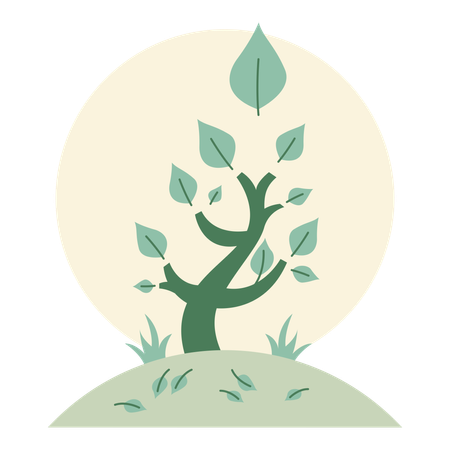 Tree Growing  Illustration