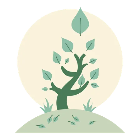 Tree Growing  Illustration