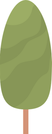 Tree  Illustration