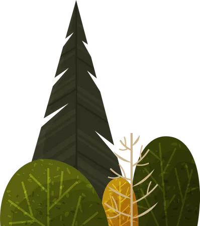 Tree  Illustration