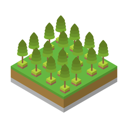 Tree  Illustration
