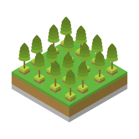 Tree  Illustration