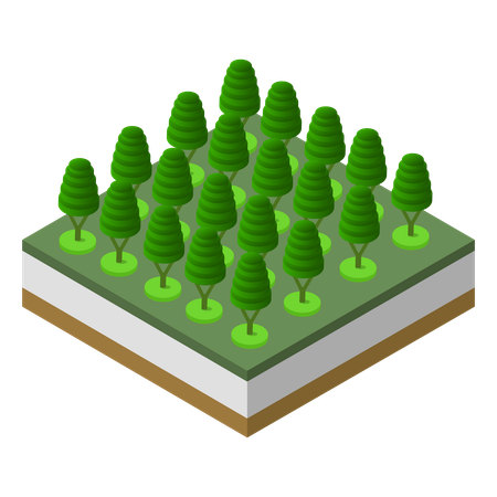 Tree  Illustration