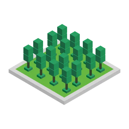 Tree  Illustration
