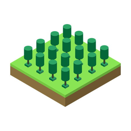 Tree  Illustration