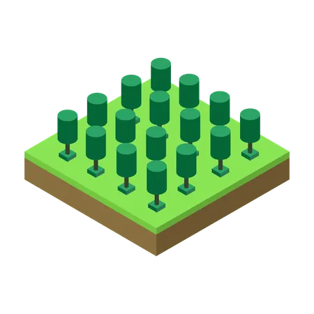 Tree  Illustration