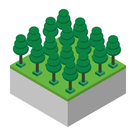 Tree  Illustration