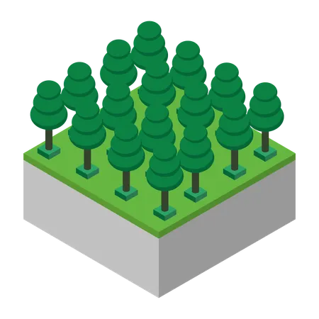 Tree  Illustration