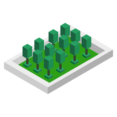 Tree  Illustration