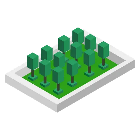 Tree  Illustration