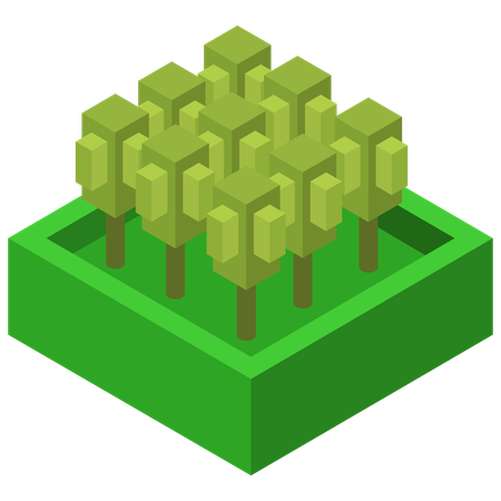 Tree  Illustration