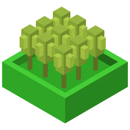 Tree  Illustration