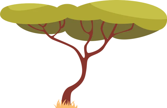 Tree  Illustration