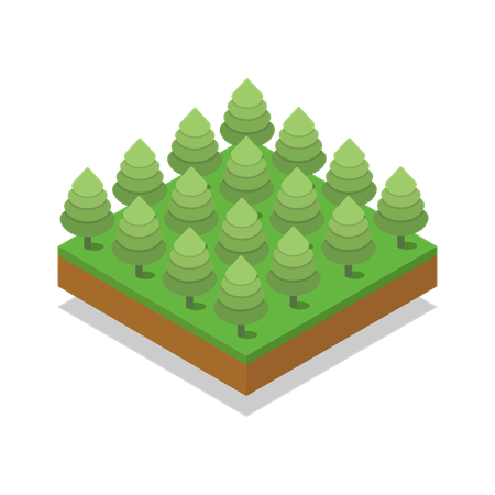 Tree  Illustration