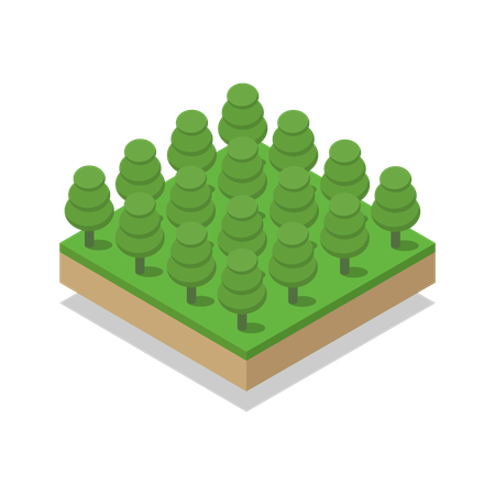 Tree  Illustration