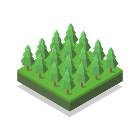 Tree  Illustration