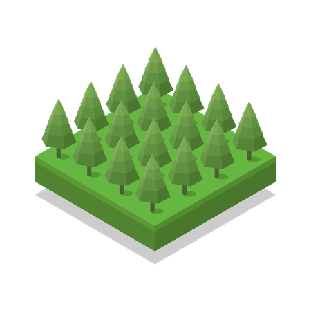 Tree  Illustration