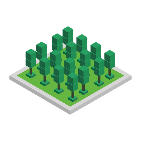 Tree  Illustration