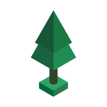 Tree  Illustration