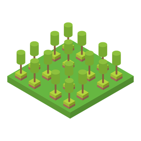 Tree Park  Illustration
