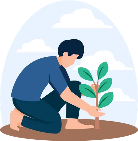 Tree Plantation  Illustration