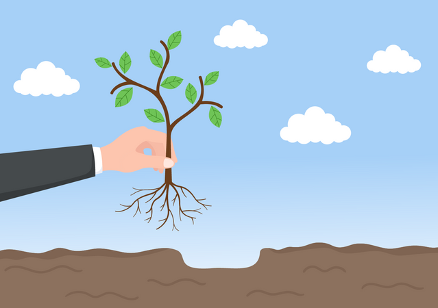 Tree Plantation  Illustration