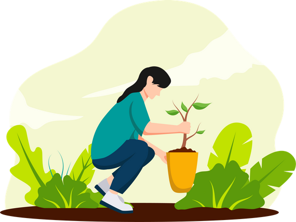 Tree Plantation  Illustration