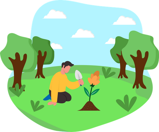 Tree Plantation  Illustration