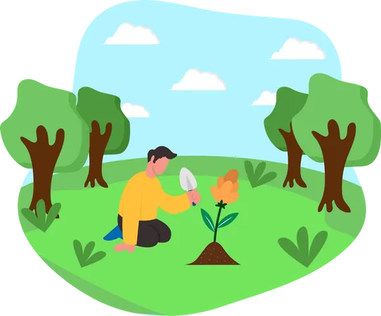 Tree Plantation  Illustration