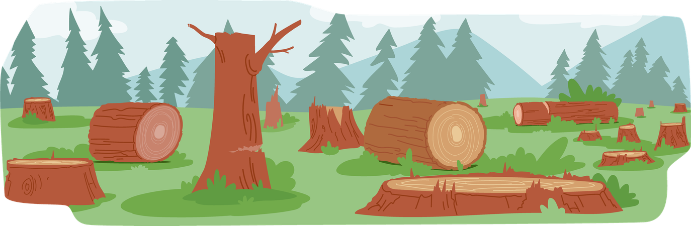 Tree Stumps And Fallen Logs Scattered Across Land  Illustration