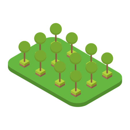 Trees  Illustration