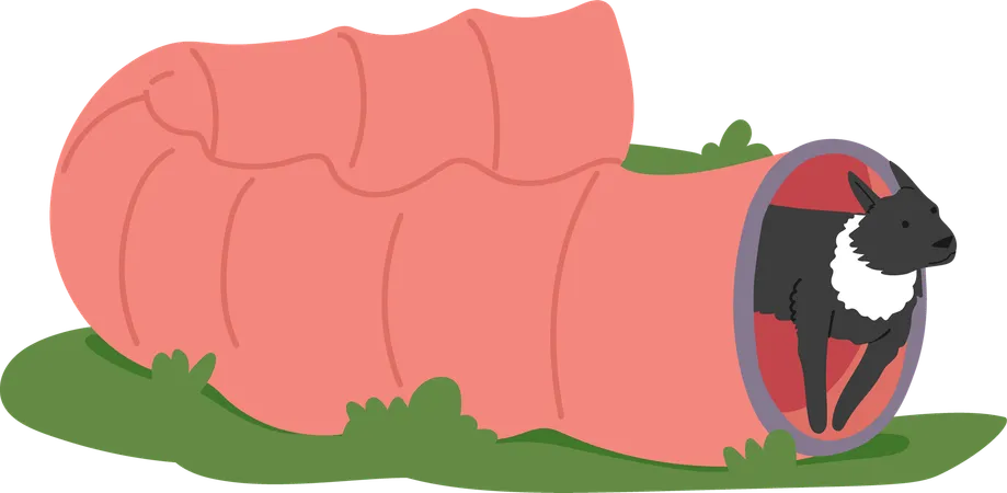 Treinamento de cães ao ar livre usando obstáculo de túnel  Ilustração