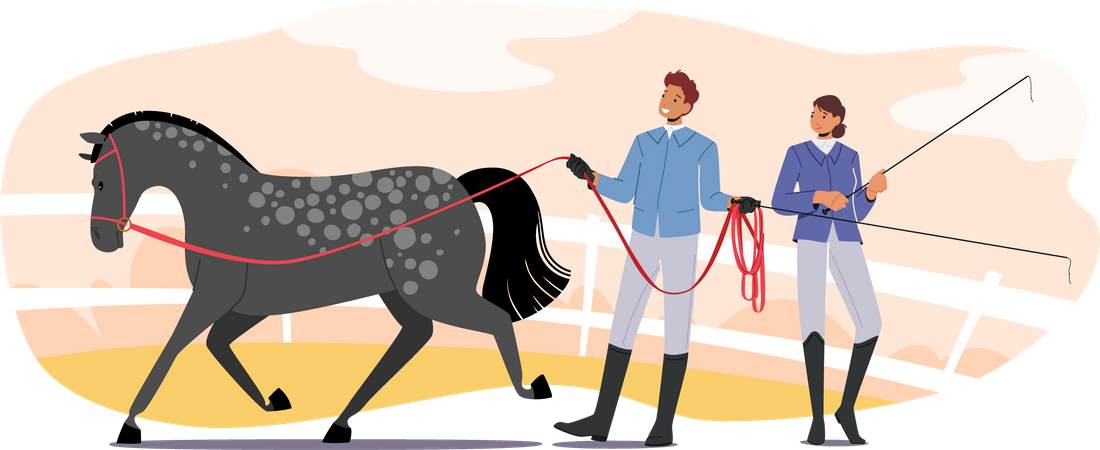 Treinamento de cavalos  Ilustração