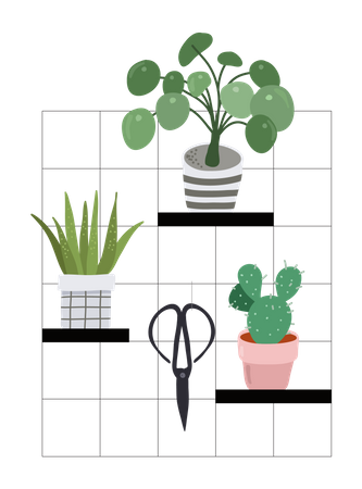 Trendy home decor with plants  Illustration