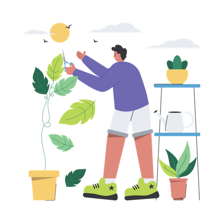 Trimming Plant Leaves  Illustration