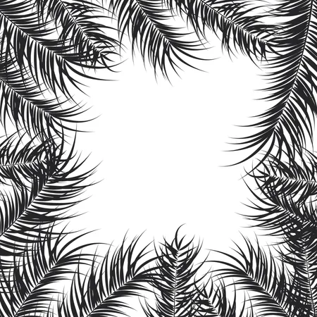 Tropical Design With Black Palm Leaves And Plants On White Background Vector Illustration Illustration