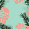 illustrations for tropical monstera