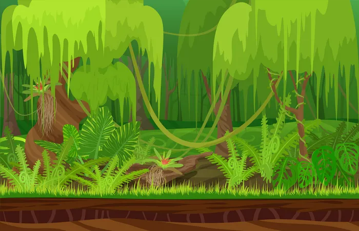 Tropical Forest Illustration