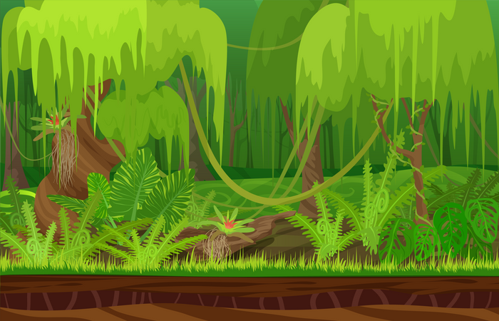 Tropical Forest  Illustration