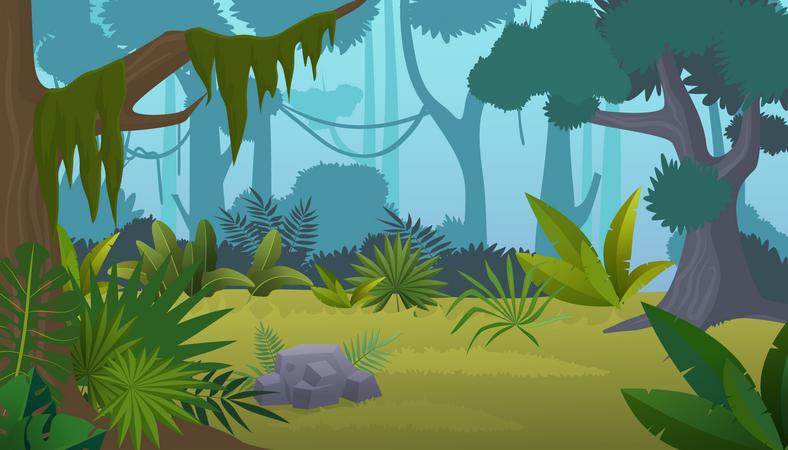 Tropical Forest  Illustration