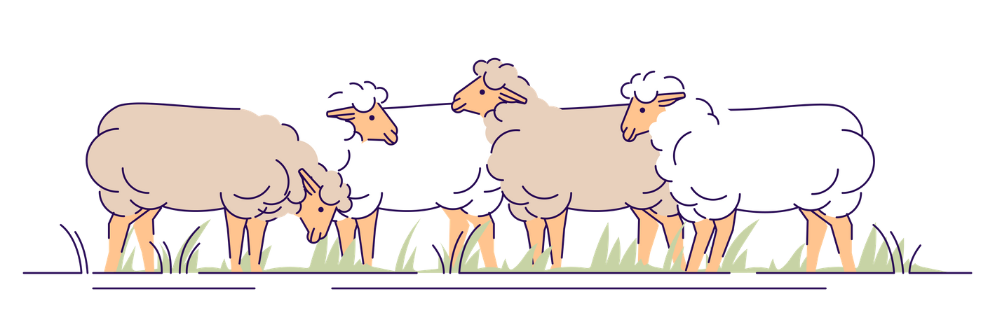 Troupeau de moutons au pâturage  Illustration