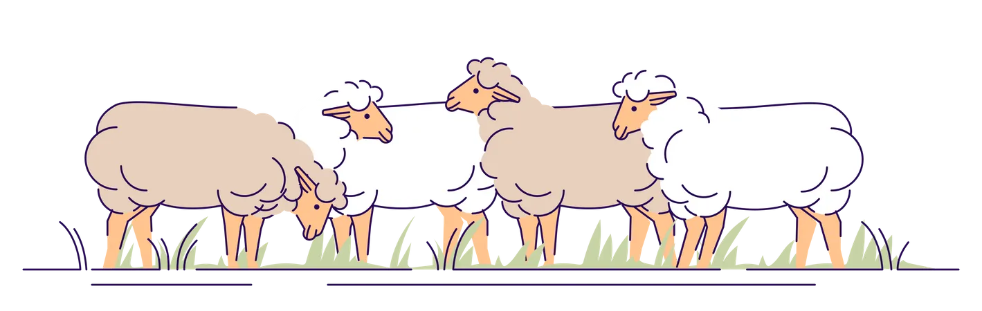 Troupeau de moutons au pâturage  Illustration