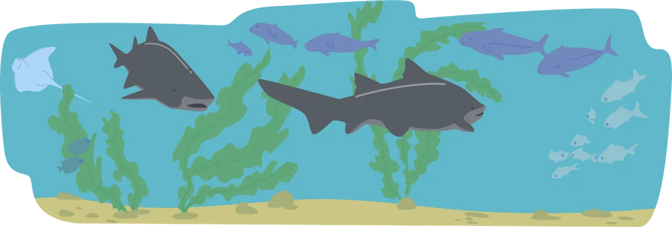 Tubarões nadando debaixo d'água  Ilustração