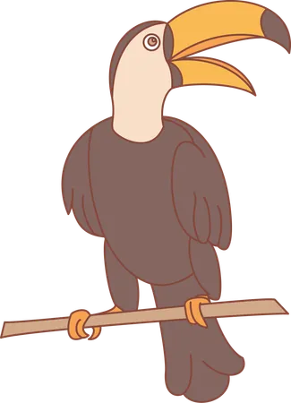 Tucano  Ilustração