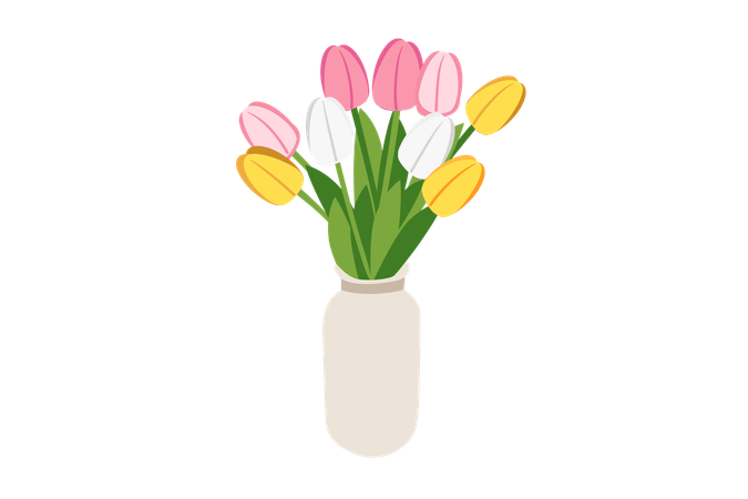 Tulpe Blume  Illustration