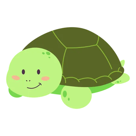 Turtle Boy Illustration Illustration