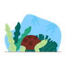 turtle illustration free download